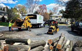 Best Residential Tree Removal  in Sardinia, OH